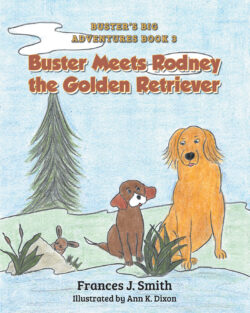 Buster Meets Rodney the Golden Retriever