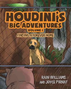 Houdini's Big Adventures