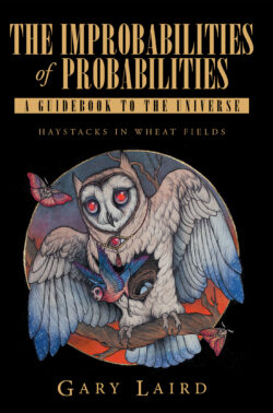The Improbabilities of Probabilities: A Guidebook to the Universe