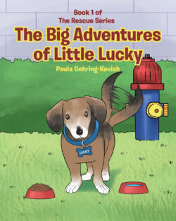 The Big Adventures of Little Lucky
