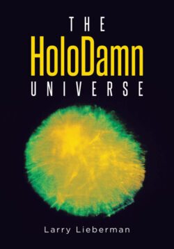 The HoloDamn Universe