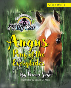 Angus Pony of the Everglades