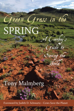 Green Grass in the Spring A Cowboy's Guide for Saving the World
