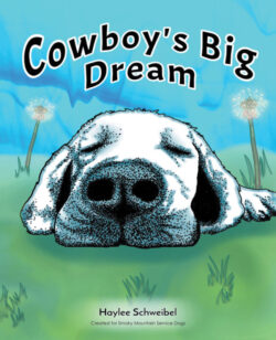 Cowboy's Big Dream