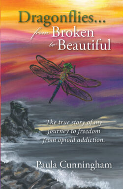 Dragonflies...From Broken to Beautiful