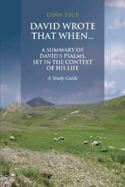 David Wrote That When...A Summary of David's Psalms, Set in the Context of His Life