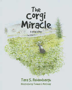 The Corgi Miracle