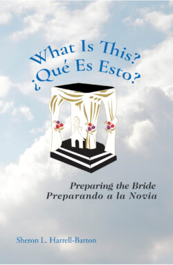 What Is This? - ¿Qué Es Esto?