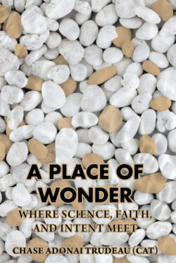 A Place of Wonder