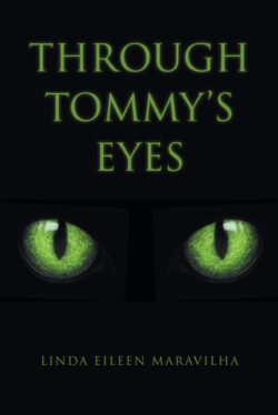 Through Tommy's Eyes