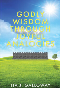Godly Wisdom through Joyful Analogies