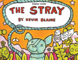 The Stray