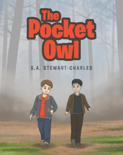 The Pocket Owl