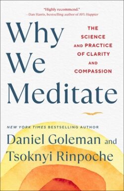 Why We Meditate: The Science and Practice of Clarity and Compassion