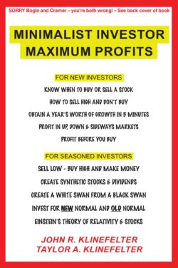 Minimalist Investor Maximum Profits