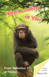 Heres Looking at You