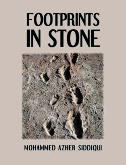 Footprints in Stone