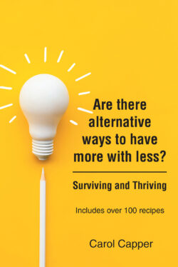 Are there alternative ways to have more with less?