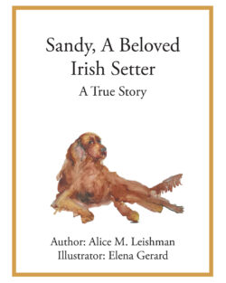Sandy, A Beloved Irish Setter