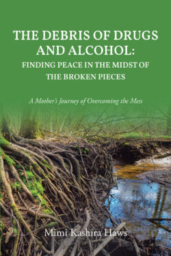 The Debris of Drugs and Alcohol: Finding Peace in the Midst of the Broken Pieces