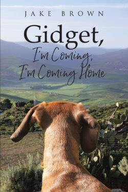 Gidget, I'm Coming, I'm Coming Home