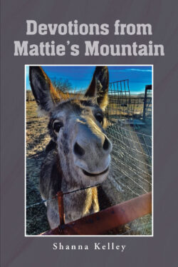 Devotions from Mattie_s Mountain