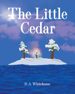 The Little Cedar