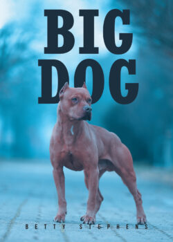 BIG DOG