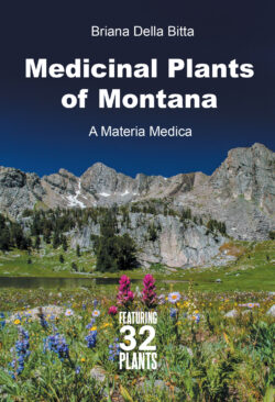 Medicinal Plants of Montana