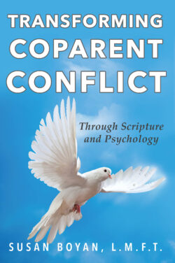 Transforming Coparent Conflict