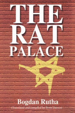 The Rat Palace