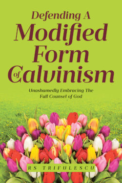 Defending a Modified Form of Calvinism