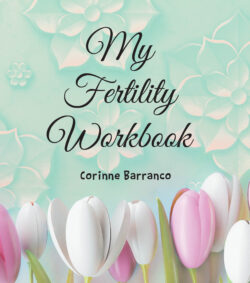 My Fertility Workbook
