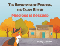 The Adventures of Precious, the Calico Kitten