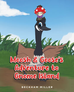 Moosh & Goose's Adventure To Gnome Island