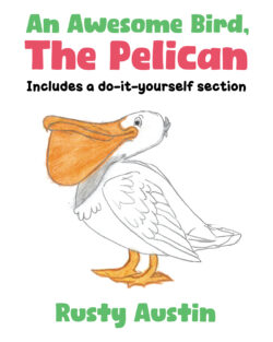 An Awesome Bird, The Pelican