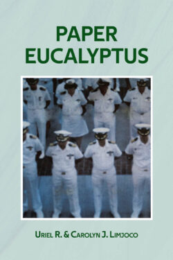 Paper Eucalyptus