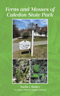 Ferns and Mosses of Caledon State Park
