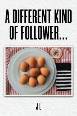 A Different Kind of Follower...