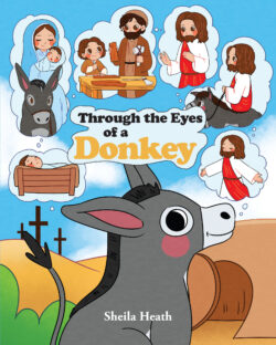 Through the Eyes of a Donkey