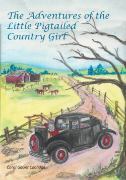 The Adventures of the Little Pigtailed Country Girl