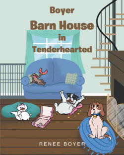 Boyer Barn House in Tenderhearted