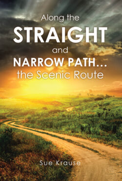 Along the Straight and Narrow Path…the Scenic Route